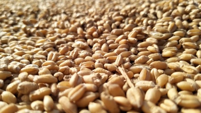 Szerbia felfüggesztette az alapvető élelmiszerek kivitelét