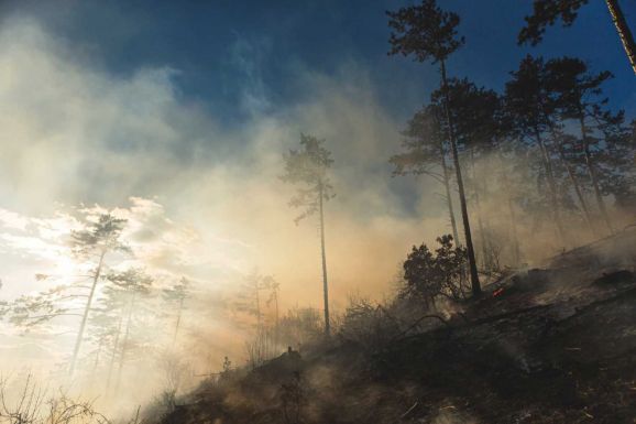 Erdőtűz pusztított a Székelyudvarhely melletti Rez-tetőn