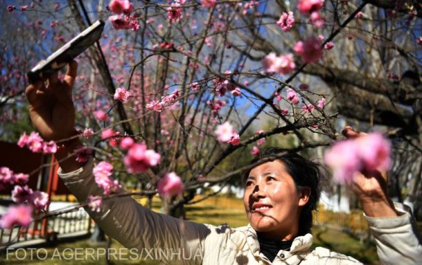 Rekordalacsony szintre csökkent a házasságkötések száma Kínában 2021-ben