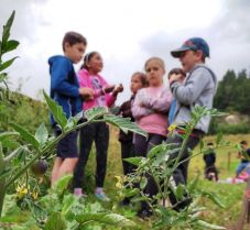 Újra elstartolt Hargita Megye Tanácsának Kiskertész programja
