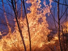 A tavaly egész évben felgyújtott területek ötszörösét égették le eddig idén Hargita megyében