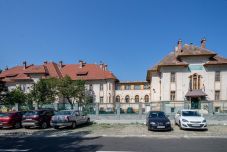 Temes megyében robbanásszerűen megnőtt a bárányhimlős esetek száma