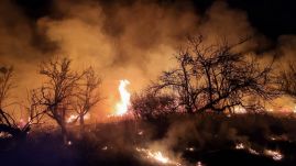 Szilágy megyében is negatív rekordot döntött a bozóttüzek száma