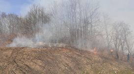 Három napja küzdenek a lángokkal Kolozs megye déli részén