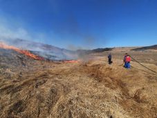 Hargita megyében már több mint 250 gazda veszítette el az agrártámogatást tarlóégetés miatt