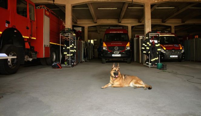 Házkutatást tartott a DNA a Kolozs megyei katasztrófavédelmi felügyelőség székhelyén