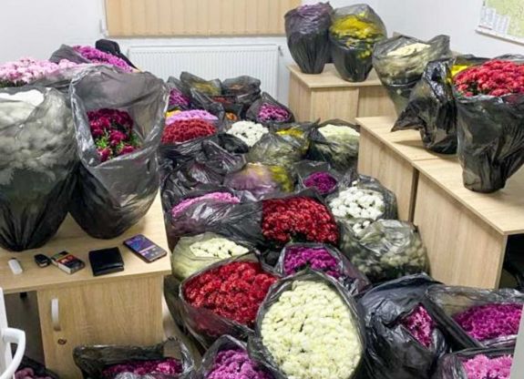 Tetten értek a rendőrök egy kolozsvári férfit, amint épp a sírokról lopta a cserepes krizantémot