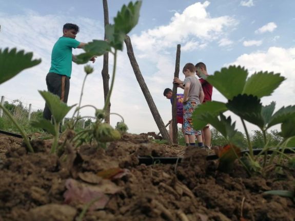 Kertésztanoda: jutalom termett a szorgalmas kiskertészeknek