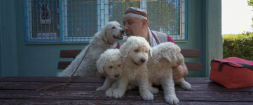 Lakatos Róbert: Erdély a románság és a magyarság számára is nemzeti erőforrást jelent