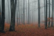 Ideje elővenni a meleg ruhákat, lehűl az idő a következő két hétben