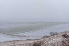 Esős, szeles hétvége következik, a hegyvidéken havazni fog