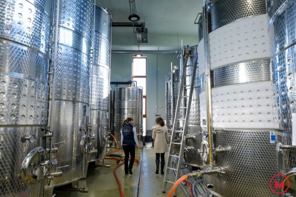 Erdély legjei: Szilágy megye – a Kárásztelek Pezsgőpincészet