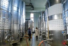 Erdély legjei: Szilágy megye – a Kárásztelek Pezsgőpincészet