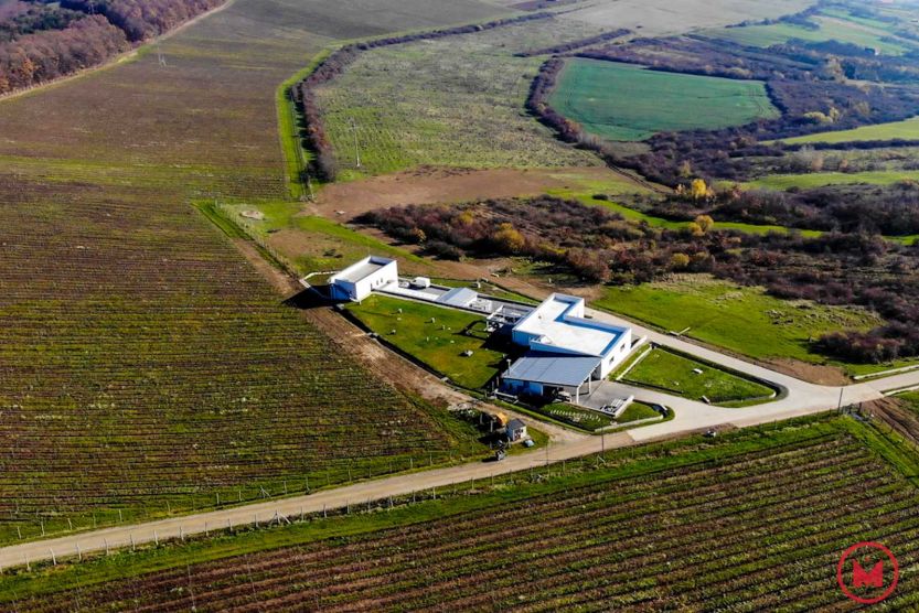 Erdély legjei: Szilágy megye – a Kárásztelek Pezsgőpincészet