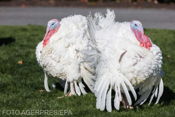 A Hálaadást ünnepli az Egyesült Államok, ötödével emelkedett az ünnepi menü ára