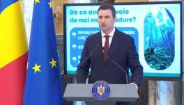 Közel hatvanezer hektár erdő telepítésére kérhetnek támogatást a földtulajdonosok