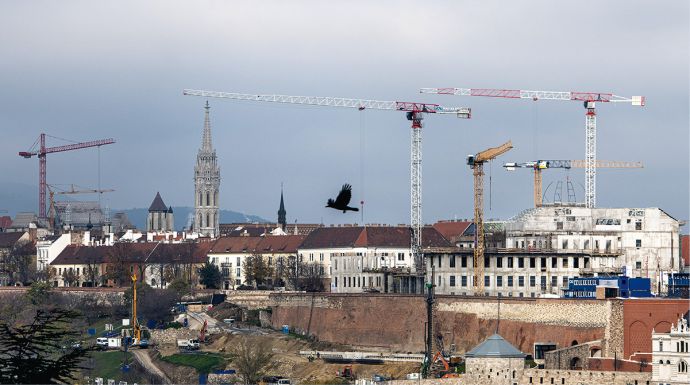 Daru daru hátán a Budai Várban