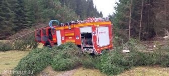 Túlságosan siettek a tűzoltóautóval, amely kisodródott egy kanyarban és több fát kidöntött Hargita megyében