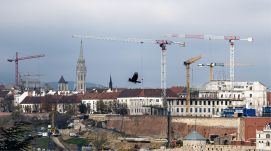 Daru daru hátán a Budai Várban