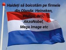 A holland cégek bojkottálására szólít fel egy RMDSZ-es polgármester