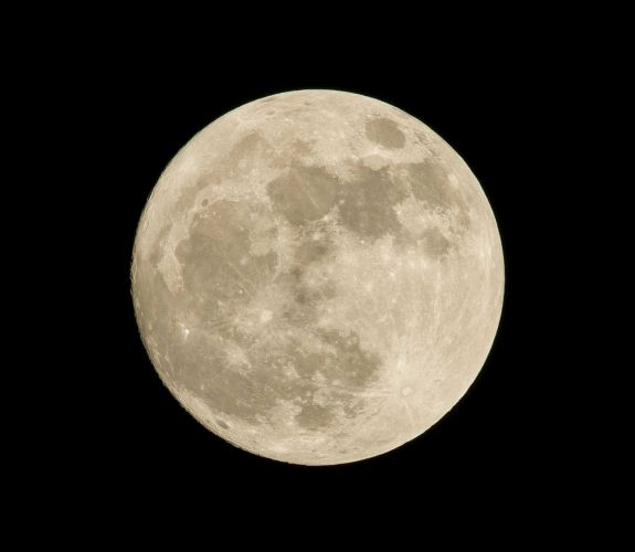 A Holdon akarnak növényt termeszteni ausztrál kutatók
