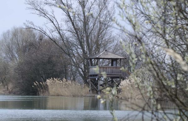 Történelmi felfedezés: soha nem látott hibrid állatot fotóztak le