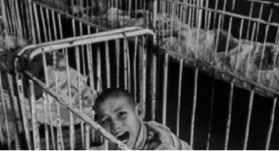 Feltárták a kommunista rezsim gyermekkórházaiban meghalt kiskorúak eseteit