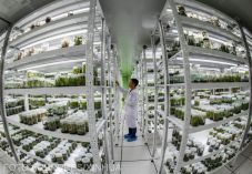 Jogszabály született a mesterséges megtermékenyítéshez használt eszközök gyártásáról és forgalmazásáról