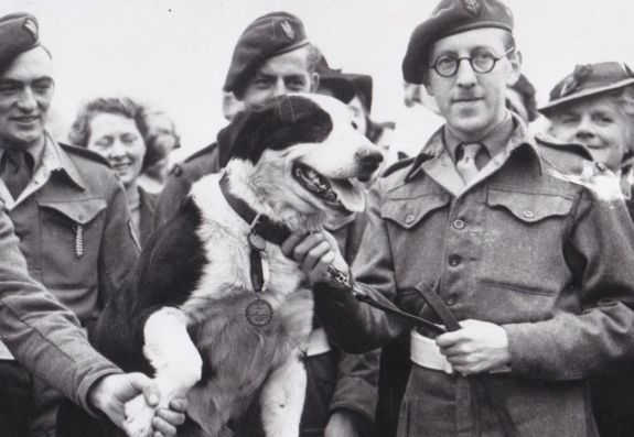 A második világháborúban kitüntetett kutya emlékérmeit árverezték el Angliában