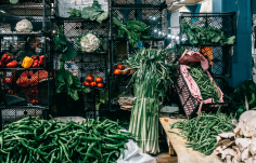 Gigantikus bírságokat rótt ki a fogyasztóvédelem zöldség-, gyümölcs- és gabonaraktárakra