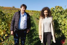 Erdély legjei: Fehér megye – a nagyenyedi bor