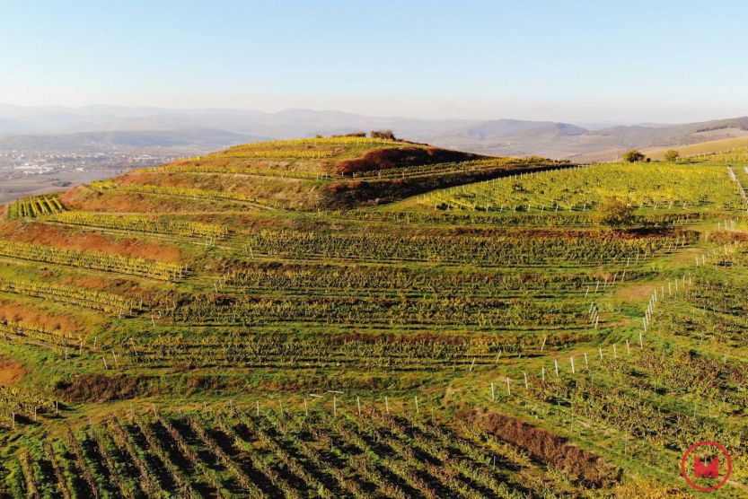 Erdély legjei: Fehér megye – a nagyenyedi bor