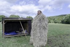 Szent Dömötör napja: a havasi pásztorok október 26-án terelik le a nyájat a legelőről a téli szállásra