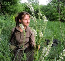 Ismeretlen növényt azonosítottak kolozsvári magyar botanikusok