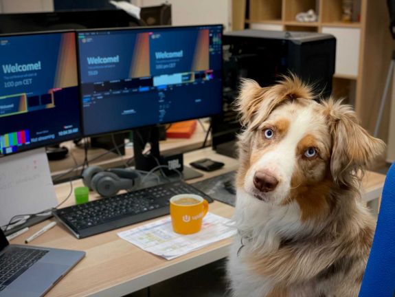 Az állatbarát munkahelyen csökken a stressz: ha kutya van az irodában, motiváltabb az alkalmazott