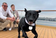 Kitüntették Joskát, a hős vakvezető kutyát