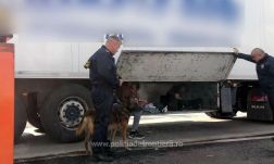 Több mint ötven migránst tartóztattak fel az aradi határőrök