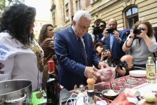 Állami cég vásárolja fel a gazdák terményeit, aláírták az első nagy értékű szerződést