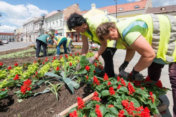 Tájépítészekkel korszerűsítik a lakónegyedi zöldövezeteket Sepsiszentgyörgyön