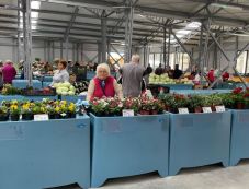 Megnyílt a felújított nagyenyedi piac