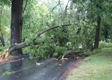 Fákat döntött ki és kétezer háztartást hagyott áramszolgáltatás nélkül a viharos erejű szél Hargita megyében