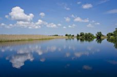 Egyre több tó szárad ki a Duna-deltában