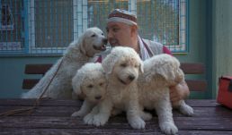 Ki kutyája vagyok én – Varsóban mutatják be a kolozsvári rendező filmjét