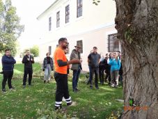 Szakszerű faápolási bemutatót tartottak Marosvásárhelyen