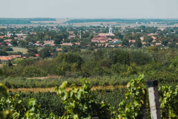 Szombaton Bor-és Gasztroterasz várja az érdeklődőket Bihardiószegen