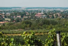 Szombaton Bor-és Gasztroterasz várja az érdeklődőket Bihardiószegen