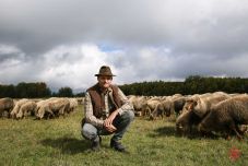 Isten tenyerén, a Hargita tetején: több száz ősi fajtájú tehenet, disznót, juhot és szárnyast nevel farmján