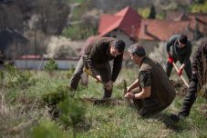 Tánczos Barna: az eddigi legátfogóbb erdősítési program kezdődik