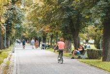 Napszámosokkal is rendben tarthatják a zöldövezeteket az önkormányzatok