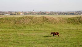 Több millió eurós beruházással tennék turisztikai célponttá Szent László bihari földvárát